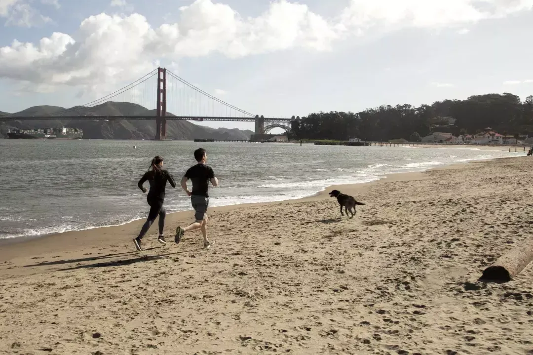 Pareja con un perro corriendo en Crissy Field